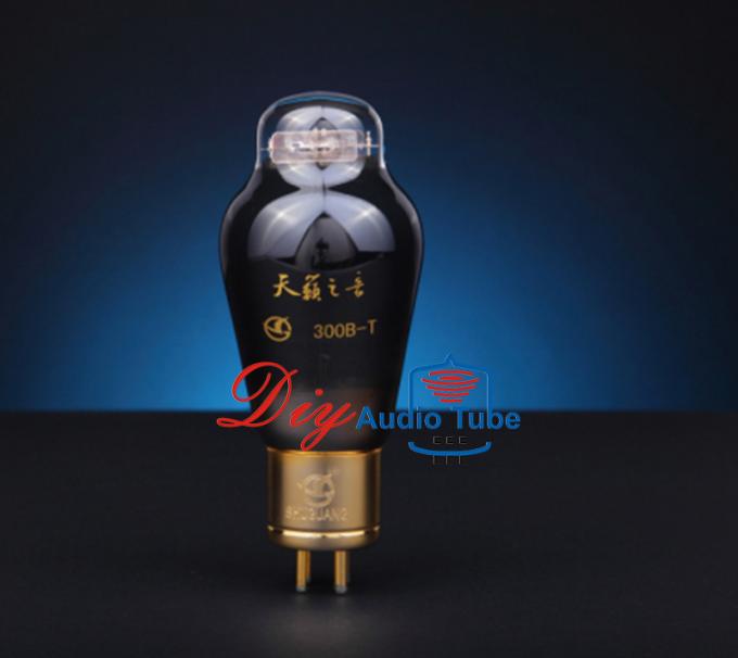 Hifi Audio Stereo Vacuümbuizen Minigrootte PSVANE 300b-n voor 300B-Buisversterker